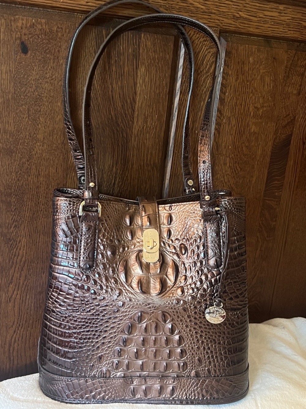 BRAHMIN FIORA Ganache Ombré Melbourne Bucket Bag NWT - Picture 3 of 17